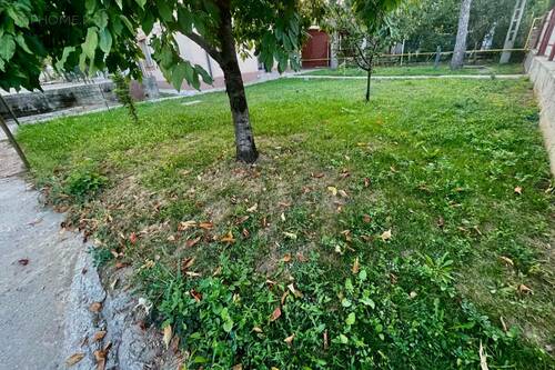 Ocazie! Casa Pe Parter Stradal 3 Cam Si Teren 567 Mp