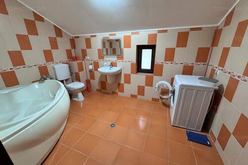 Vila Individuala, Garaj, 238 Mp, Teren 303 Mp, Metrou
